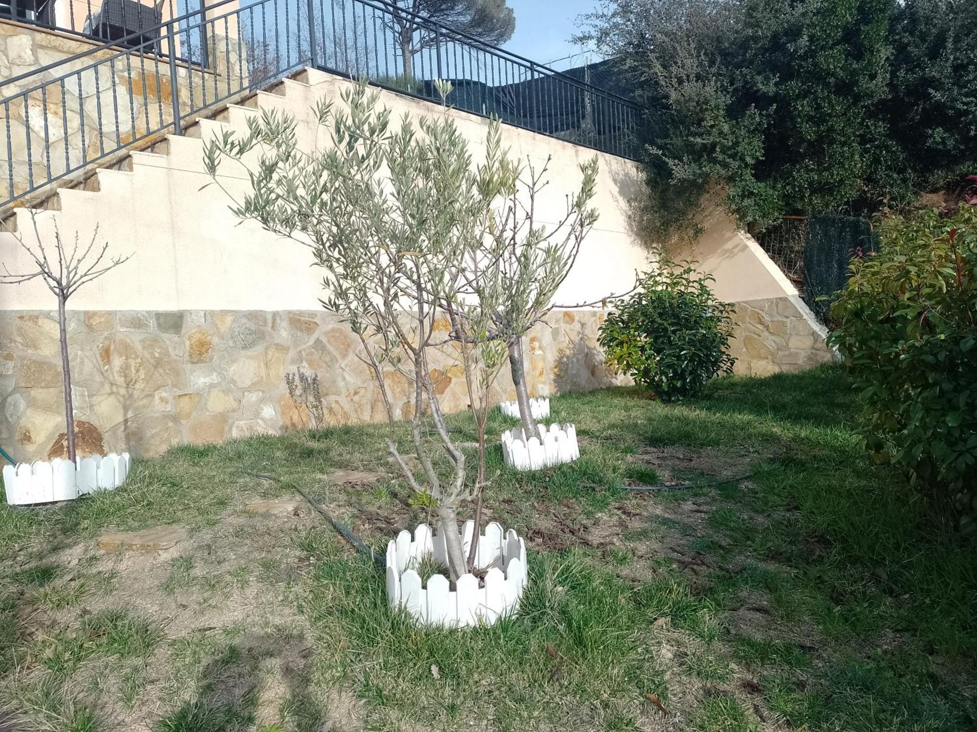 Gran Estudio De 50M2 Cerca Costa Brava Vidreres Zewnętrze zdjęcie
