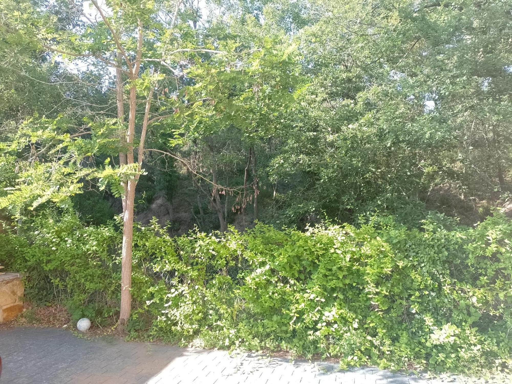 Gran Estudio De 50M2 Cerca Costa Brava Vidreres Zewnętrze zdjęcie