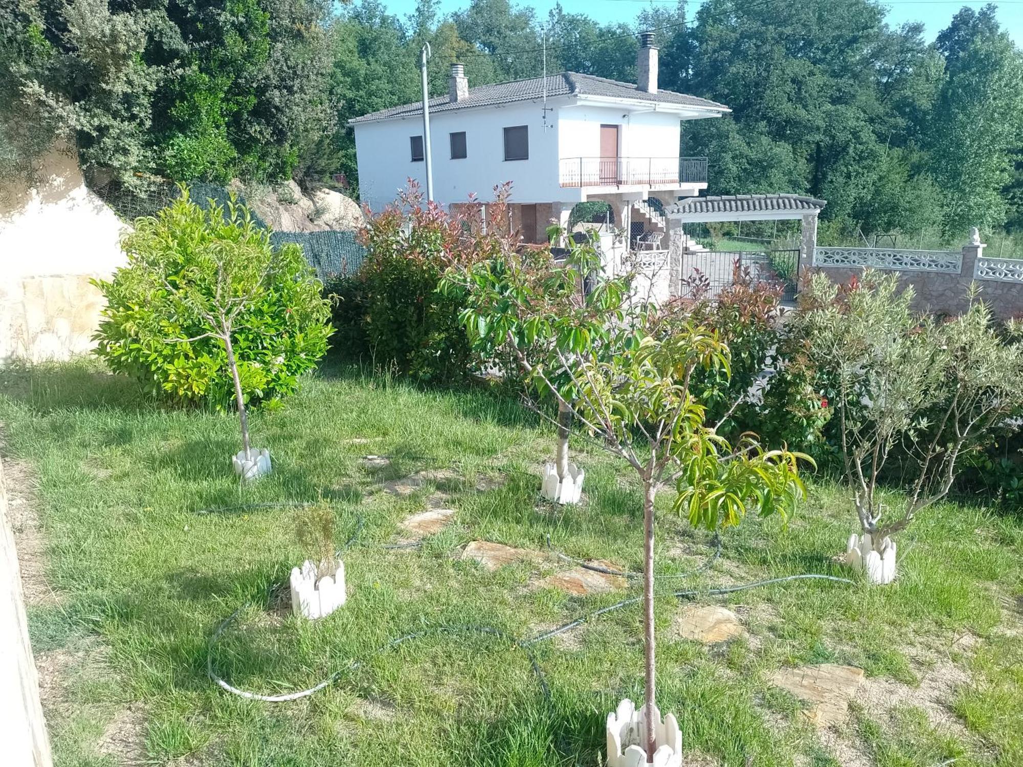 Gran Estudio De 50M2 Cerca Costa Brava Vidreres Zewnętrze zdjęcie